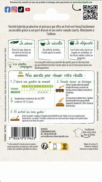 Potagères - Courgette Cassiopée HF1 - Graines d'Exception - MEDIA_PACKAGING_VERSO